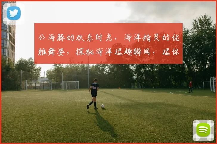 公海豚的欢乐时光，海洋精灵的优雅舞姿，探秘海洋逗趣瞬间，逗你笑不停，必看