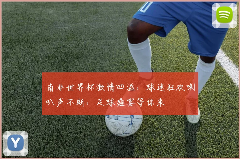南非世界杯激情四溢，球迷狂欢喇叭声不断，足球盛宴等你来