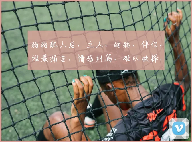 狗狗配人后，主人、狗狗、伴侣，谁最痛苦，情感纠葛，难以抉择，爱恨交织。